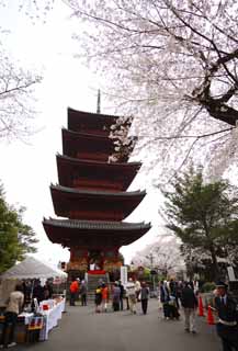 ,,, ,,,   Ikegami   Storeyed, Nichiren Takashi., Chaitya.,   Storeyed, Hidetada .