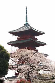 , , , , ,  .,Ikegami     Storeyed Pagoda, Takashi Nichiren, Chaitya,  Storeyed Pagoda,  Hidetada