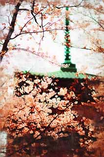Illust, materieel, vrij, landschap, schilderstuk, schilderstuk, kleuren potlood, crayon, werkje,Ikegami voorkant poort tempel Five Storeyed Pagoda, Takashi Nichiren, Chaitya, Vijf Storeyed Pagoda, Publiek Hidetada