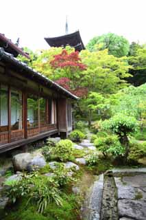 photo,material,free,landscape,picture,stock photo,Creative Commons,Taima temple Nakano Bo, Japanese garden, Japanese building, triple tower, famous garden