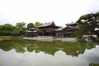 Foto, materieel, vrij, landschap, schilderstuk, bevoorraden foto,Byodo-in Temple Chinese feniks tempel, Wereld heritage, Jodo trouw, Zwartgalligheid wegens de overtuiging in het derde en laatste etappe van Het boeddhisme, Een Amitabha zittende afbeelding