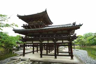 Foto, materieel, vrij, landschap, schilderstuk, bevoorraden foto,Byodo-in Temple Chinese feniks tempel, Wereld heritage, Jodo trouw, Zwartgalligheid wegens de overtuiging in het derde en laatste etappe van Het boeddhisme, Een Amitabha zittende afbeelding