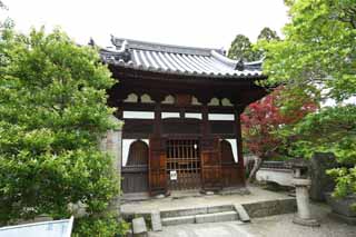 photo, la matire, libre, amnage, dcrivez, photo de la rserve,Byodo-dans Temple temple Rakan, patrimoine de l'humanit, Foi Jodo, Pessimisme d  la croyance dans la troisime et dernire tape de Bouddhisme, dragon