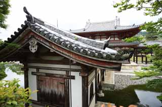 Foto, materieel, vrij, landschap, schilderstuk, bevoorraden foto,Byodo-in Temple Chinese feniks tempel, Wereld heritage, Jodo trouw, Zwartgalligheid wegens de overtuiging in het derde en laatste etappe van Het boeddhisme, Een Amitabha zittende afbeelding