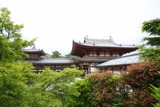 foto,tela,gratis,paisaje,fotografa,idea,Ave fnix templo de chino de Temple de Byodo-in, Herencia de mundo, Fe de Jodo, Pesimismo atribuible a la creencia en el tercero y ltimo escenario de Buddhism, Una Amitabha inactivo imagen