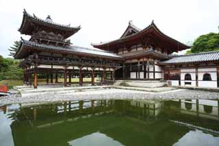 foto,tela,gratis,paisaje,fotografa,idea,Ave fnix templo de chino de Temple de Byodo-in, Herencia de mundo, Fe de Jodo, Pesimismo atribuible a la creencia en el tercero y ltimo escenario de Buddhism, Una Amitabha inactivo imagen