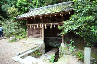 fotografia, materiale, libero il panorama, dipinga, fotografia di scorta, sacrario scintoista che Kirihara annaffia in Uji, Acqua chiara e famosa, Innaffi terra di cassetto, Festone di paglia scintoista, Scintoismo