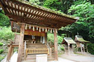 photo,material,free,landscape,picture,stock photo,Creative Commons,It is Shinto shrine Kasuga Shrine in Uji, guardian deity, Shinto straw festoon, bamboo blind, Shinto