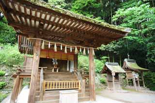 Foto, materiell, befreit, Landschaft, Bild, hat Foto auf Lager,Es ist schintoistischer Schrein Kasuga Shrine in Uji, Htergottheit, Schintoistische Strohgirlande, Bambusjalousie, Schintoismus