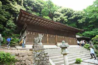 fotografia, material, livra, ajardine, imagine, proveja fotografia, um santurio de Xintosmo santurio principal em Uji, Japo  mais velho, O imperador Ojin, , cetro