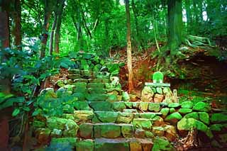 illustration,material,free,landscape,picture,painting,color pencil,crayon,drawing,It is Shinto shrine Takemoto Oga in Uji, Takemoto, monument, stone stairway, Shinto