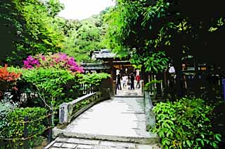 illustration,material,free,landscape,picture,painting,color pencil,crayon,drawing,It is a Shinto shrine stone bridge in Uji, An approach to a shrine, An azalea, stone bridge, Shinto