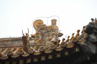 photo,material,free,landscape,picture,stock photo,Creative Commons,A Yonghe Temple tile, Tibet, An animal, dragon, Chaitya