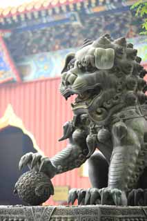 photo,material,free,landscape,picture,stock photo,Creative Commons,A Yonghe Temple lion, pair of stone guardian dogs, lion, lion, tusk