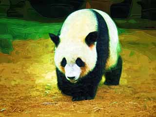 illustration,material,free,landscape,picture,painting,color pencil,crayon,drawing,Giant panda, panda, , I am pretty, walk