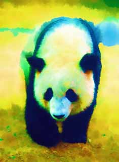 illustration,material,free,landscape,picture,painting,color pencil,crayon,drawing,Giant panda, panda, , I am pretty, walk