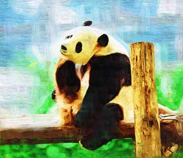 illust, material, livram, paisagem, quadro, pintura, lpis de cor, creiom, puxando,Panda gigantesco, panda, , Eu estou bonito, gesto