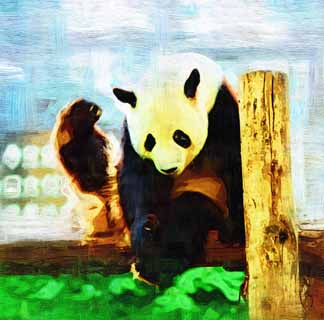 illust,tela,gratis,paisaje,fotografa,idea,pintura,Lpiz de color,dibujo,Oso panda gigante, Oso panda, , Soy bonito, Ademn