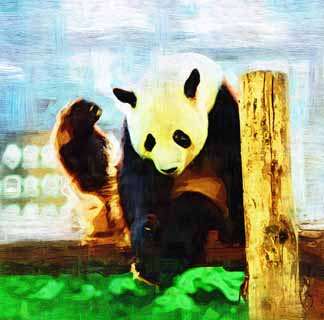 Illust, materieel, vrij, landschap, schilderstuk, schilderstuk, kleuren potlood, crayon, werkje,Reus panda, Panda, , Ik ben knap, Gebaar