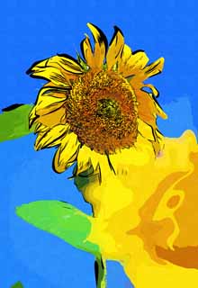 illustration,material,free,landscape,picture,painting,color pencil,crayon,drawing,A sunflower, sunflower, , , 