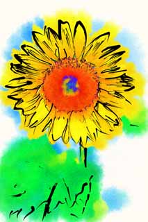 illustration,material,free,landscape,picture,painting,color pencil,crayon,drawing,A sunflower, sunflower, , , 