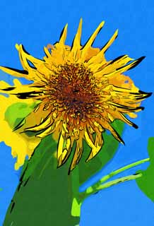 illustration,material,free,landscape,picture,painting,color pencil,crayon,drawing,A sunflower, sunflower, , , 