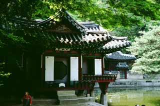 Foto, materiell, befreit, Landschaft, Bild, hat Foto auf Lager,Puyongjong-Pavillon, Palast, Teich, , 