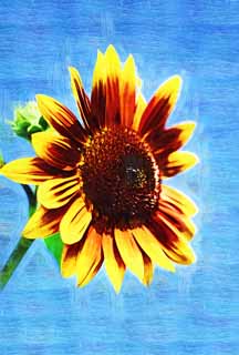 illust, materiell, befreit, Landschaft, Bild, Gemlde, Farbbleistift, Wachsmalstift, Zeichnung,,Eine Sonnenblume, Sonnenblume, , , 