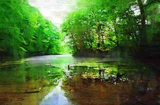 illust, matire, libre, paysage, image, le tableau, crayon de la couleur, colorie, en tirant,Parc de l'oiseau du lac, Transparence, Brouillard du matin, source, fort vierge