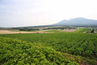 Foto, materiell, befreit, Landschaft, Bild, hat Foto auf Lager,Eine lndliche Landschaft von Furano, Feld, Mt. Tokachi-dake, Das Land, lndliche Landschaft