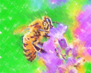 illust,tela,gratis,paisaje,fotografa,idea,pintura,Lpiz de color,dibujo,Es una abeja a una lavanda, Abeja, , , Lavanda