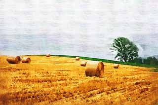 illust, matire, libre, paysage, image, le tableau, crayon de la couleur, colorie, en tirant,Un rouleau d'herbe, champ, rouleau d'herbe, Le pays, dcor rural