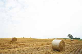 Foto, materiell, befreit, Landschaft, Bild, hat Foto auf Lager,Eine Grasrolle, Feld, Grasrolle, Das Land, lndliche Landschaft