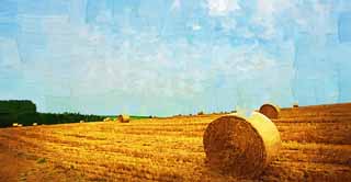 Illust, materieel, vrij, landschap, schilderstuk, schilderstuk, kleuren potlood, crayon, werkje,Een gras kadet, Veld, Gras kadet, Het land, Landelijk landschap