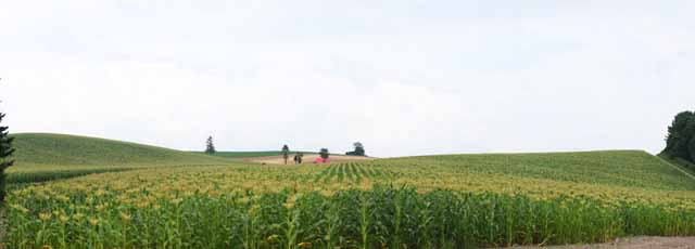 Foto, materieel, vrij, landschap, schilderstuk, bevoorraden foto,Een heuvel met een rood dak, Veld, Rood dak, Het land, Landelijk landschap