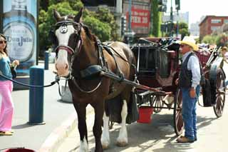 photo, la matire, libre, amnage, dcrivez, photo de la rserve,Une voiture, cheval, voiture, Je suis amricain, Visiter des sites pittoresques