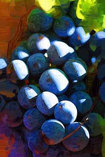 illust, matire, libre, paysage, image, le tableau, crayon de la couleur, colorie, en tirant,Un raisin, Vin rouge, Le brassage, Valle Napa, Vin de Californie