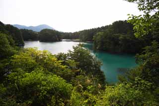 photo,material,free,landscape,picture,stock photo,Creative Commons,Lake Bishamon, forest, pond, Azure blue, Mt. Bandai-san