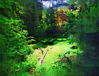 illustration,material,free,landscape,picture,painting,color pencil,crayon,drawing,Lake five colors, forest, pond, fallen tree, Mt. Bandai-san