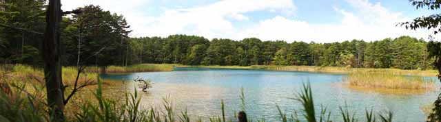 Foto, materieel, vrij, landschap, schilderstuk, bevoorraden foto,Plas vrouw van de opperhoofd zen-pastoor, Woud, Waterplas, Hemelsblauw blauw, Mt. Bandai-san