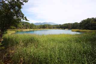 photo,material,free,landscape,picture,stock photo,Creative Commons,Lake wife of chief zen-priest, forest, pond, Azure blue, Mt. Bandai-san