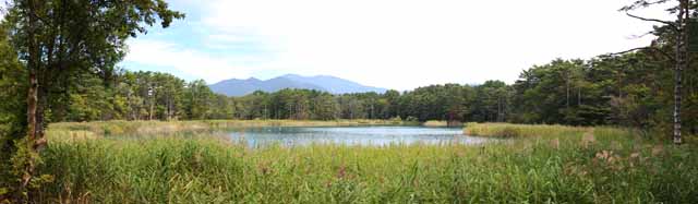 photo,material,free,landscape,picture,stock photo,Creative Commons,Lake wife of chief zen-priest, forest, pond, Azure blue, Mt. Bandai-san