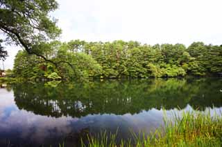 fotografia, materiale, libero il panorama, dipinga, fotografia di scorta,Yaginuma, foresta, stagno, La superficie dell'acqua, Mt. Bandai-san