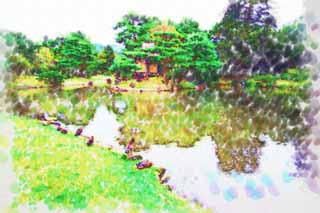 illustration,material,free,landscape,picture,painting,color pencil,crayon,drawing,The pond of the Oyaku-en Garden feeling character, garden plant, Gardening, Japanese garden, pine