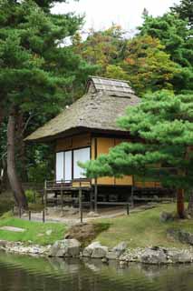 fotografia, materiale, libero il panorama, dipinga, fotografia di scorta,Oyaku-en Garden il conforto la pergola di Kotobuki, pianta orto, shoji, I giapponesi fanno del giardinaggio, Paglia