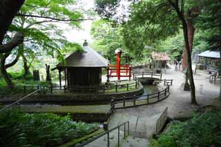 Foto, materiell, befreit, Landschaft, Bild, hat Foto auf Lager,Iimori-yama Hill-Wasserstrae, Bewsserungswasser, weie Tigerkorps, Aizu, Reis, der wchst