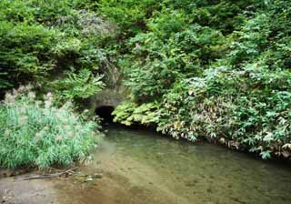 fotografia, materiale, libero il panorama, dipinga, fotografia di scorta,Una caverna di diga di bocca di porta, Acqua irrigatoria, corpo di tigre bianco, Aizu, Riso crescendo