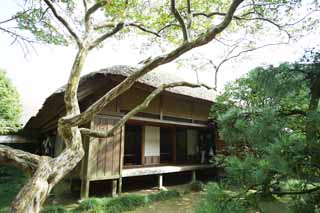 photo,material,free,landscape,picture,stock photo,Creative Commons,Kairaku-en Garden Yoshifumi bower, Japanese building, Thatch, shoji, good yardstick