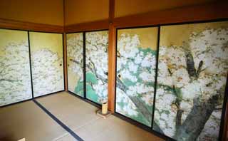 , , , , ,  .,Kairaku-en  Yoshifumi , fusuma , cherry , ,  