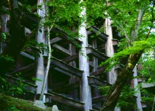 photo,material,free,landscape,picture,stock photo,Creative Commons,Pillars under the stage, Kiyomizu Temple, column, , 